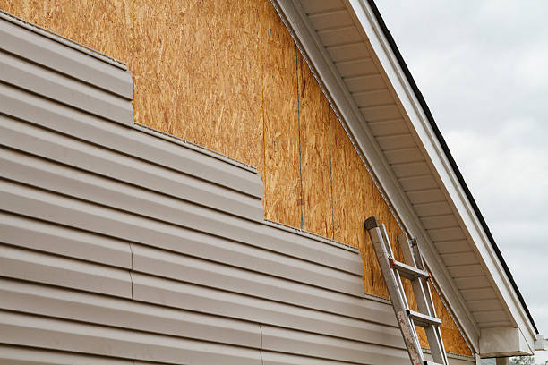 Professional Wood Siding technician working in Elgin, MN